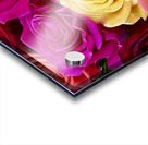Roses For Days Acrylic print