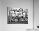 The Boys Acrylic Print