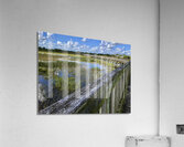 Strolling Through Wellington  Acrylic Print