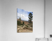 Bryce Canyon Acrylic Print