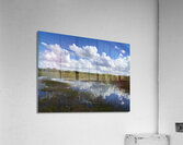 Reflections Acrylic Print