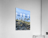 Waterscape Acrylic Print