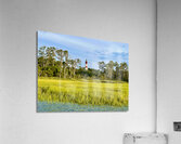 Lighthouse Waterscape Acrylic Print