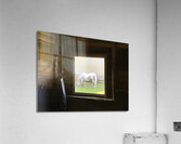 The View Acrylic Print