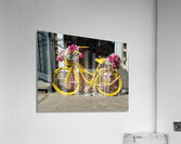 Sunny Daze Acrylic Print
