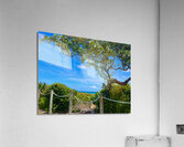 Oh The View Acrylic Print