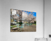 Courtside Acrylic Print
