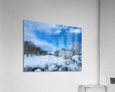 Winterland Acrylic Print