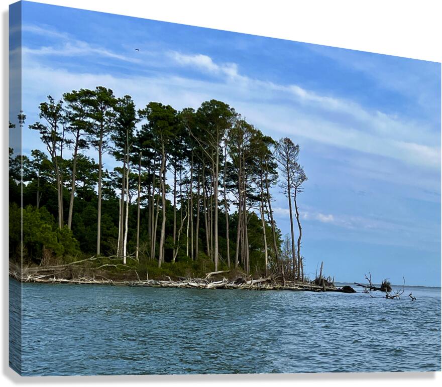 Coastal Heights Canvas Print