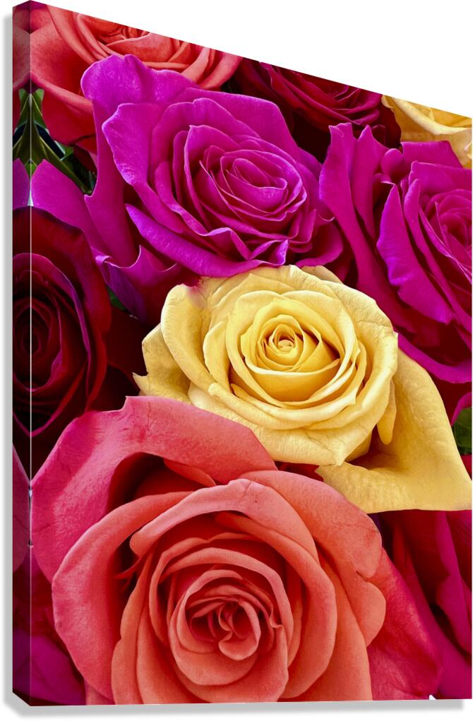 Roses For Days Canvas Print