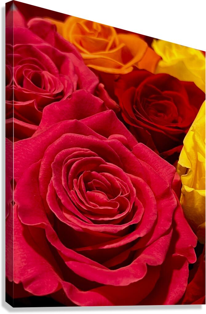 Life Is Sweet Canvas Print
