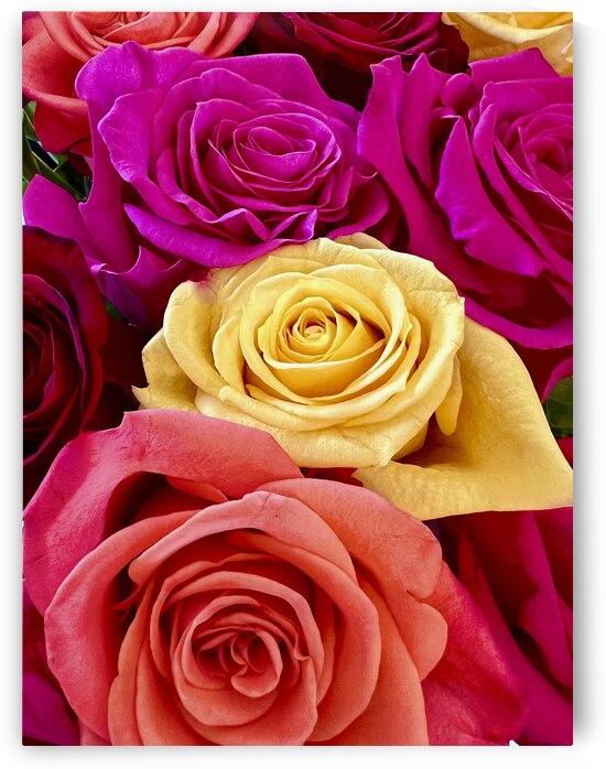 Roses For Days by Lisa Ann
