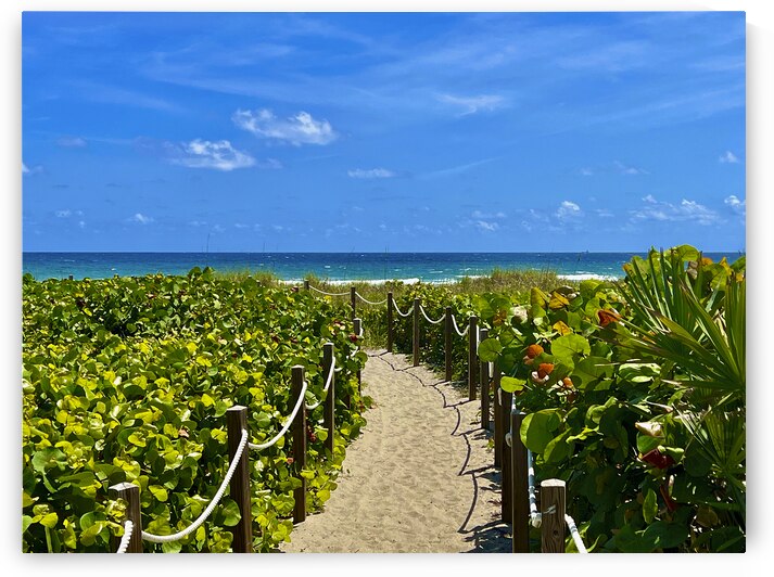 Beach Pathways by Lisa Ann