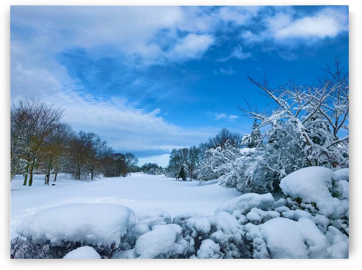 Winterland by Lisa Ann