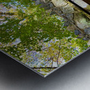 In The Forrest Metal print