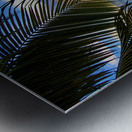 St. Maarten Nights Metal print