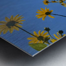 Flowers Rising Metal print