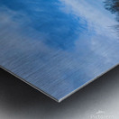 Winterland Metal print