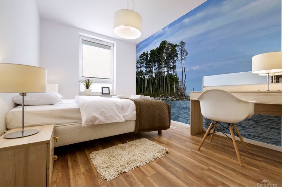 Coastal Heights Mural print
