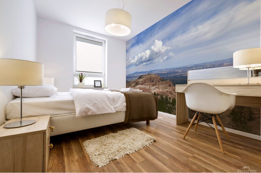 Cloudy Skies Mural print