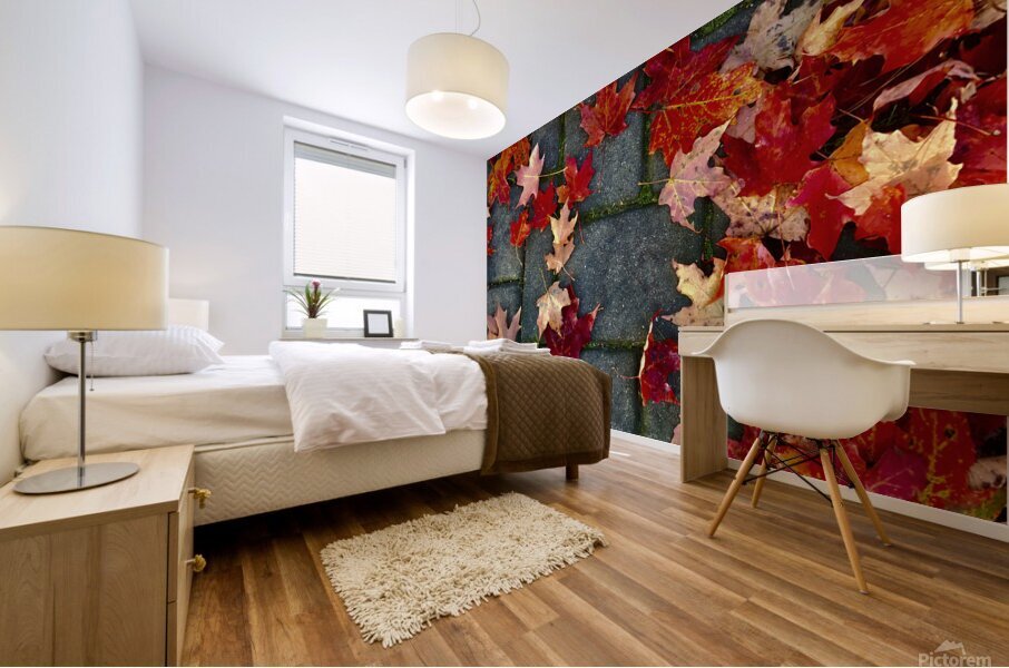 Autumn Leaves Mural print