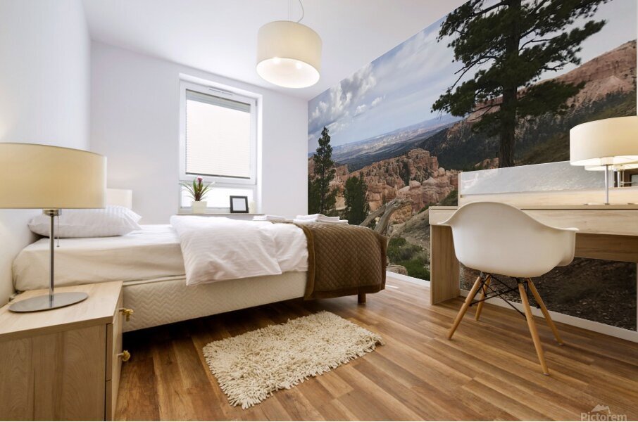 Bryce Canyon Mural print
