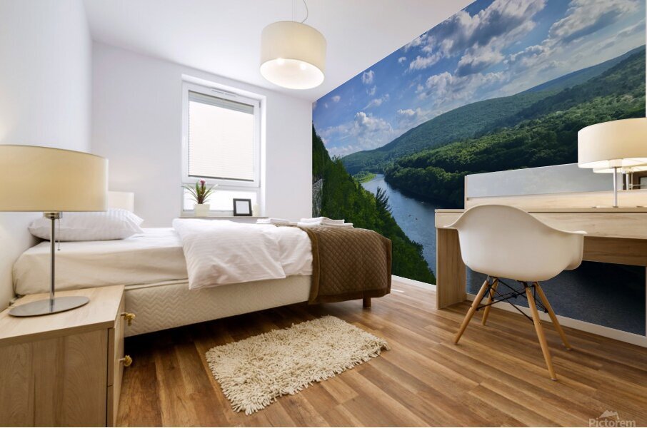 The River Runs Through It Mural print