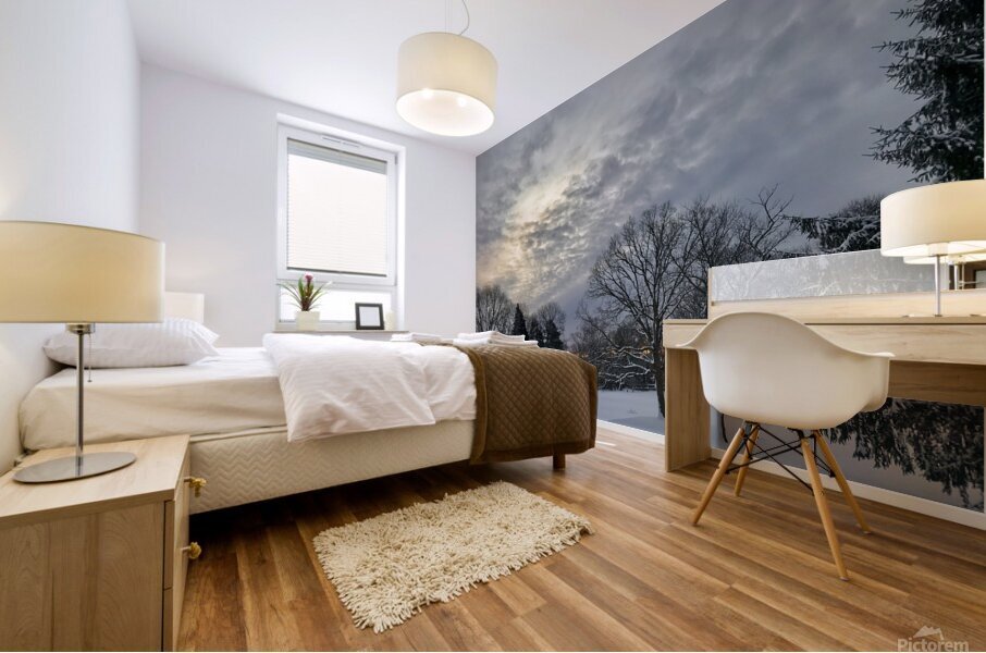 Wintery Snowscape Mural print