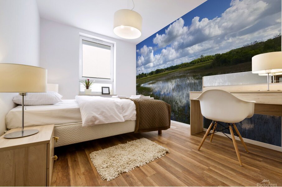 Reflections Mural print