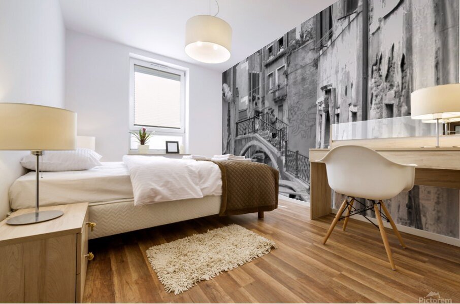 Venice Canal Mural print