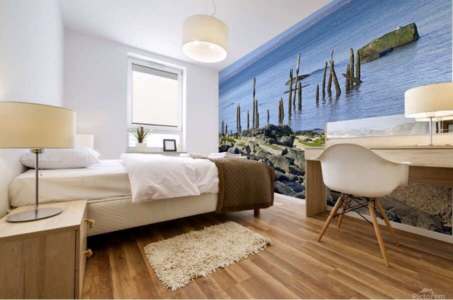 Waterscape Mural print