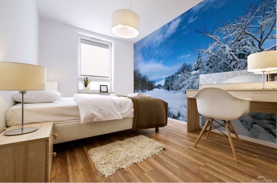 Winterland Mural print