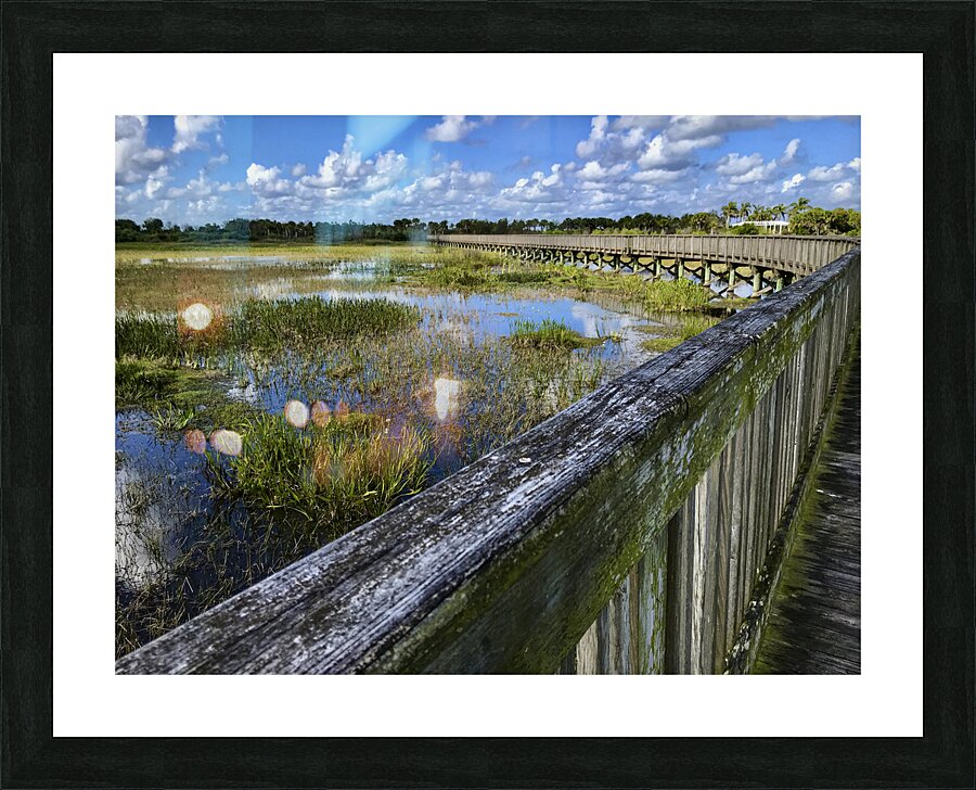 Strolling Through Wellington  Picture Frame print