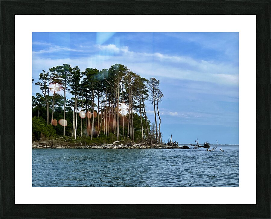 Coastal Heights Picture Frame print