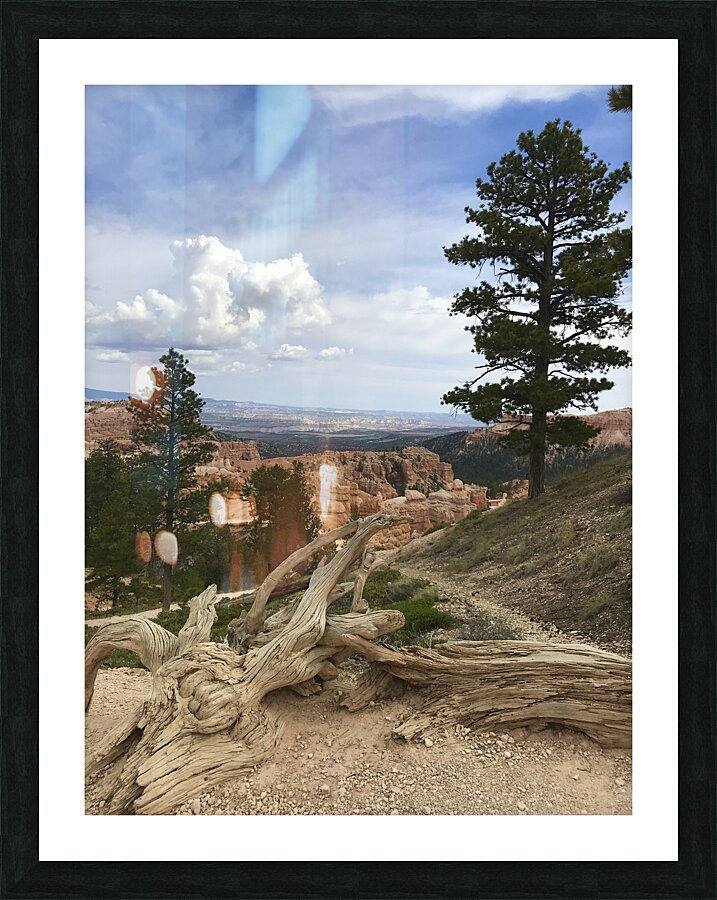 Bryce Canyon Picture Frame print