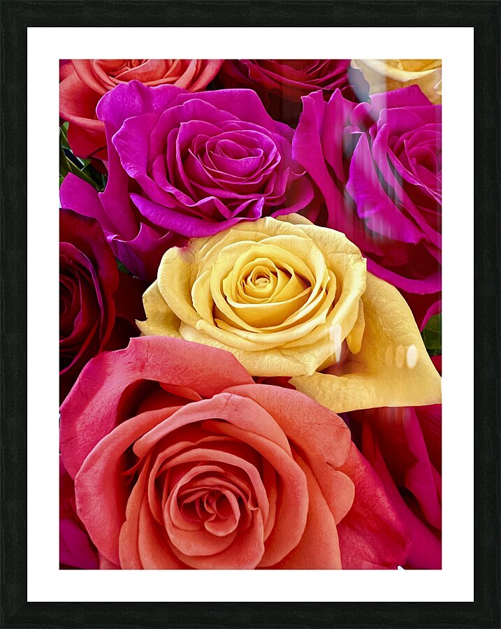 Roses For Days Picture Frame print