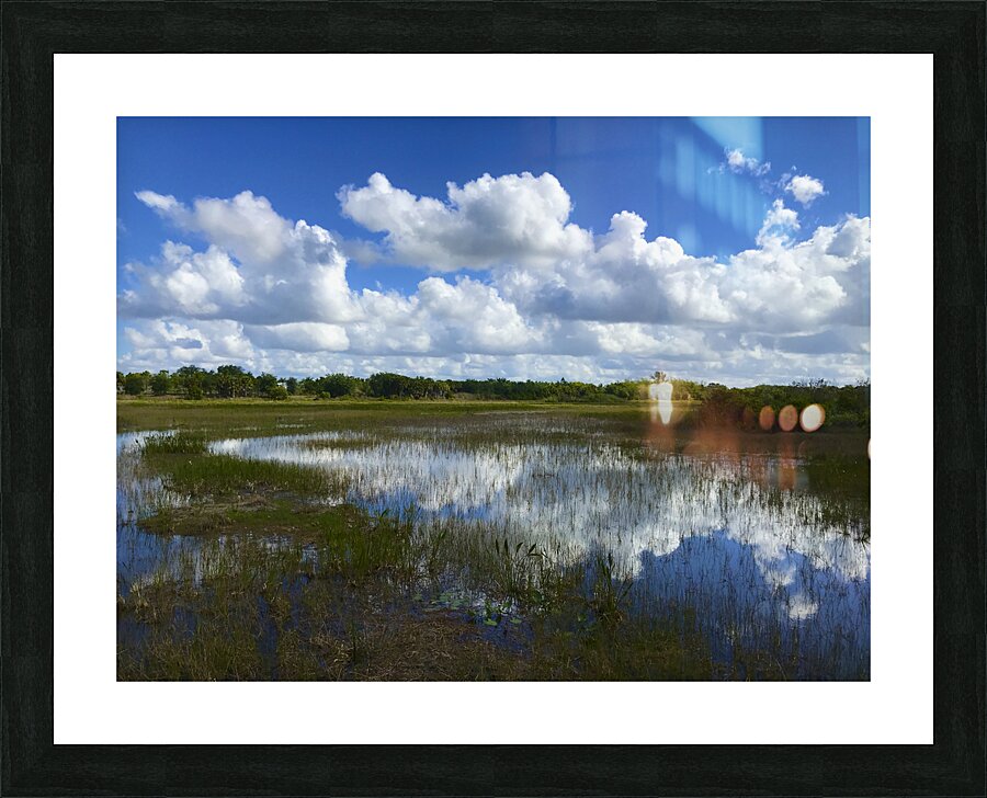 Reflections Picture Frame print