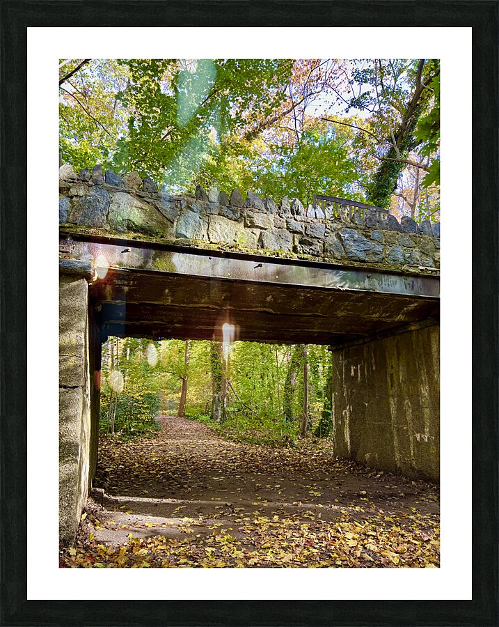 In The Forrest Picture Frame print