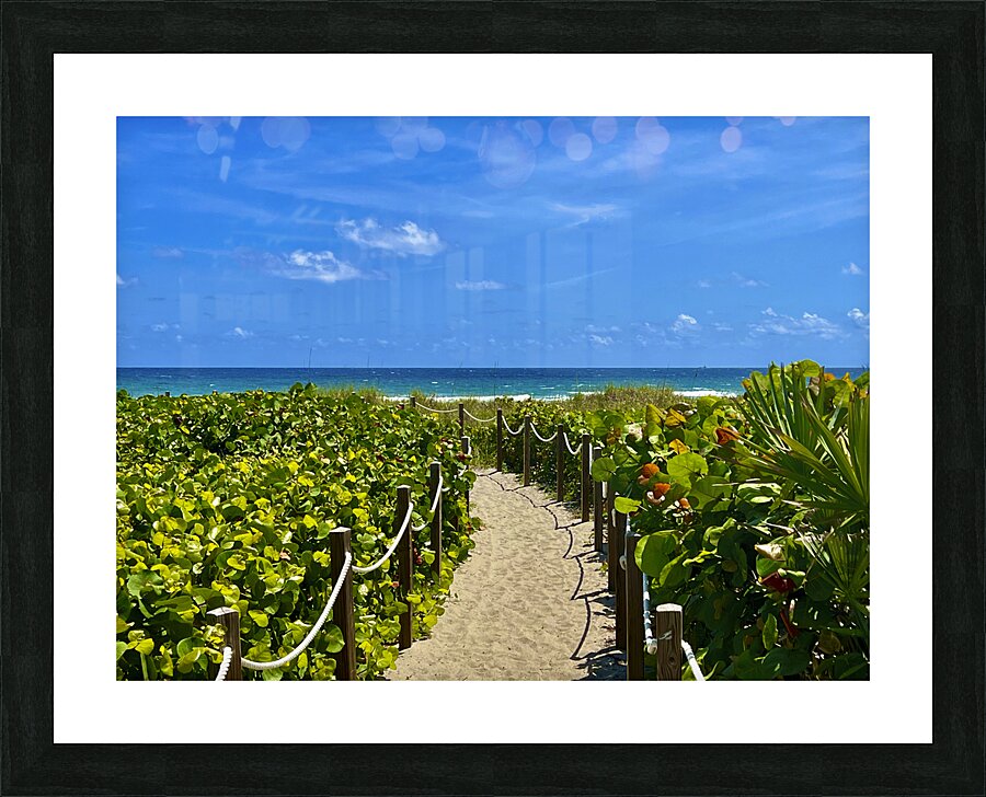 Beach Pathways Picture Frame print