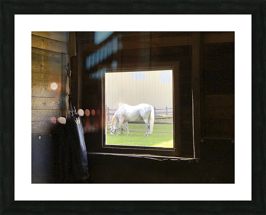 The View Picture Frame print
