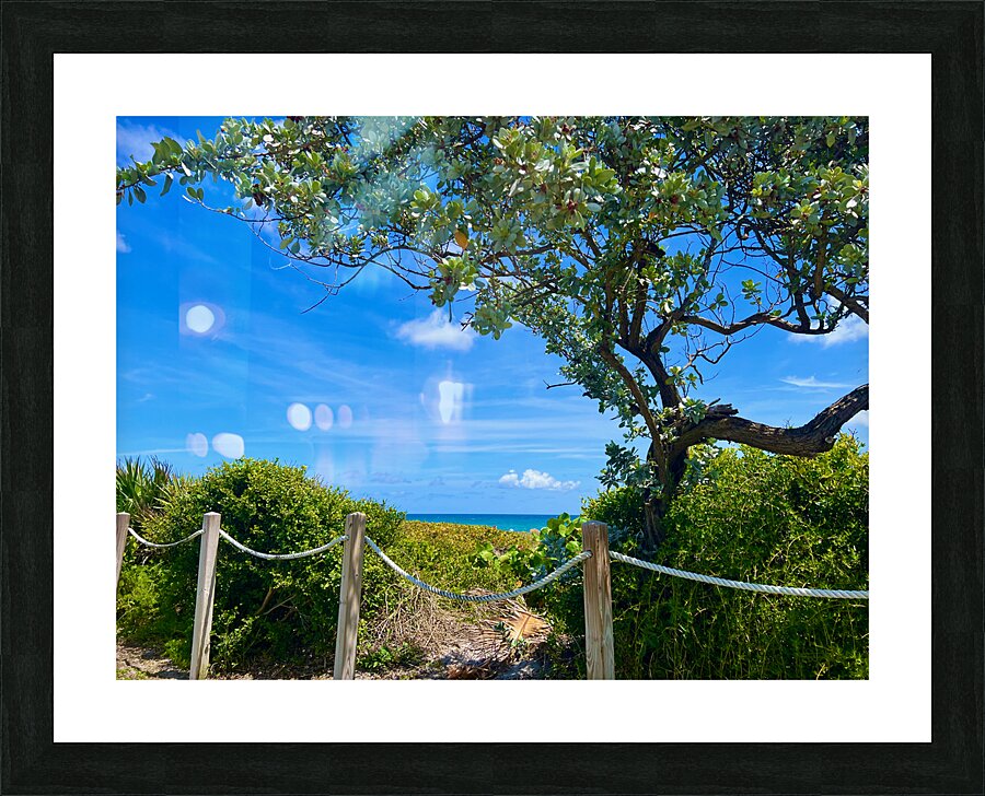 Oh The View Picture Frame print