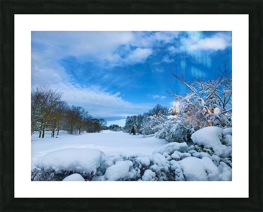 Winterland Picture Frame print