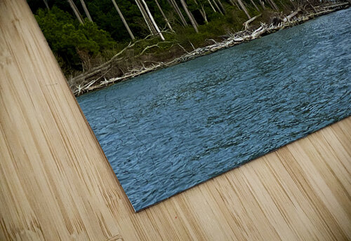 Coastal Heights Lisa Ann puzzle