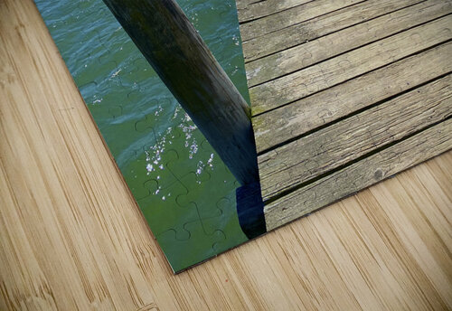 The Pier Lisa Ann puzzle