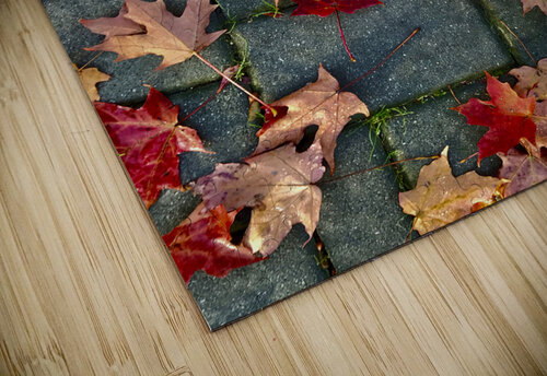 Autumn Leaves Lisa Ann puzzle