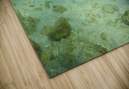 Sweet Manatee Lisa Ann puzzle