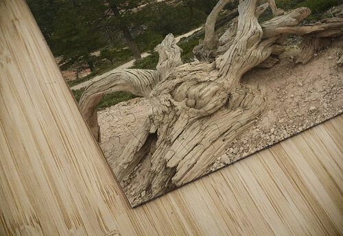 Bryce Canyon Lisa Ann puzzle