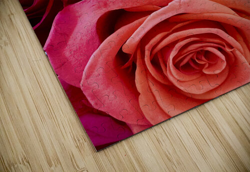 Roses For Days Lisa Ann puzzle