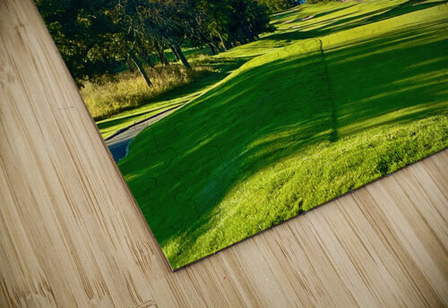 Fairway View Lisa Ann puzzle