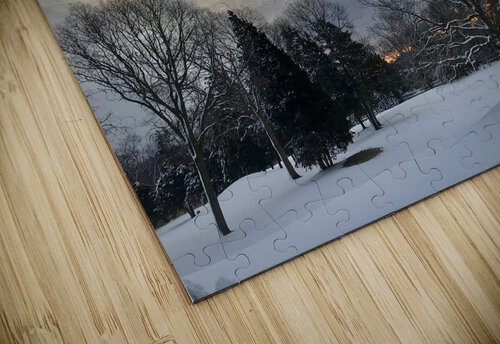 Wintery Snowscape Lisa Ann puzzle